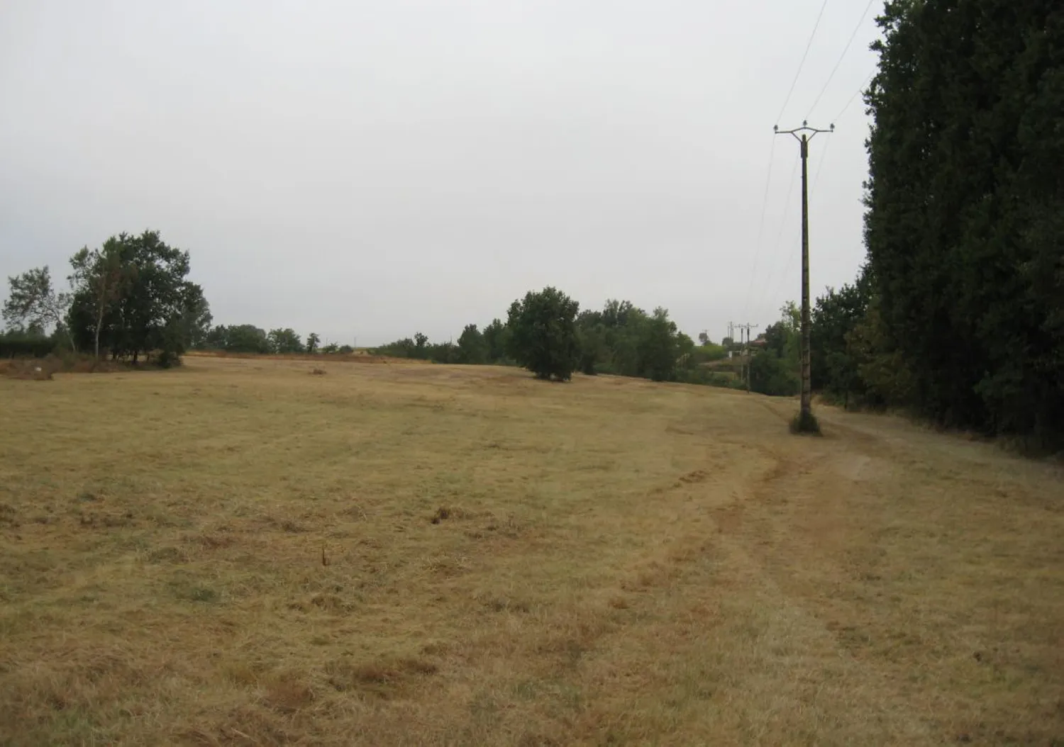 Orliac_Bonnet_Terrain 27000 m² ST SARDOS_01