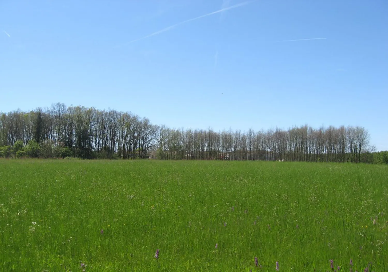 Orliac_Bonnet_Terrain 27000 m² ST SARDOS_02