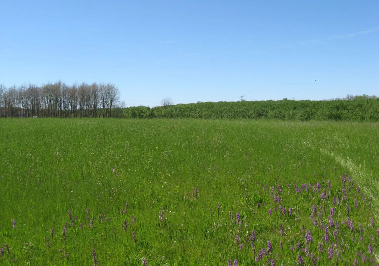 Orliac_Bonnet_Terrain 27000 m² ST SARDOS_05