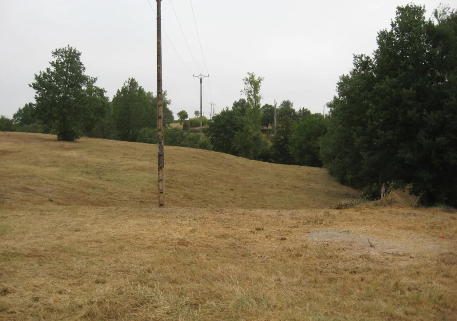 Orliac_Bonnet_Terrain 27000 m² ST SARDOS_06