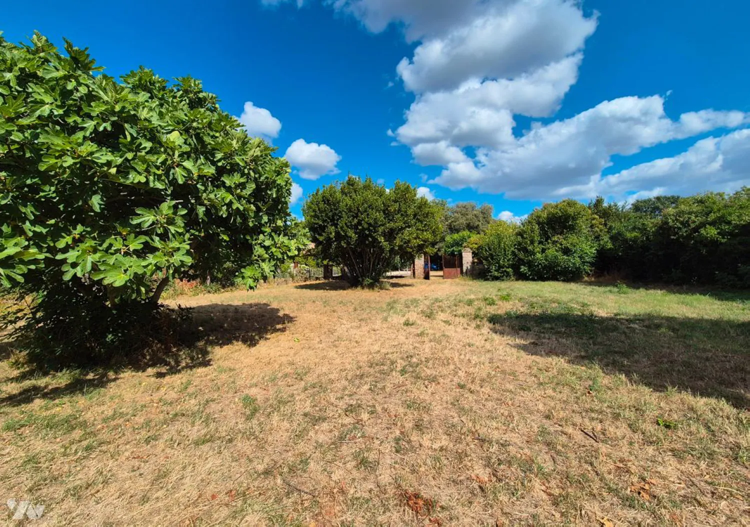 Orliac_Bonnet_Terrain 980 m² SEGOUFIELLE_02