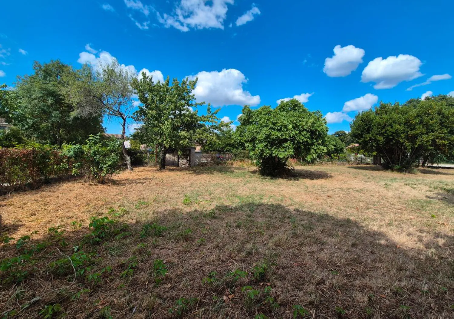 Orliac_Bonnet_Terrain 980 m² SEGOUFIELLE_04