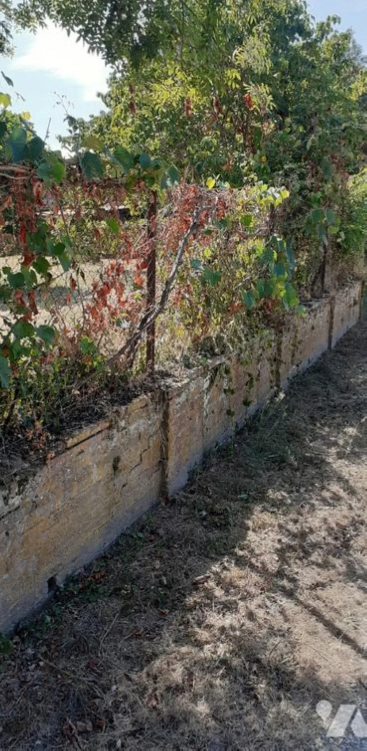 Orliac_Bonnet_Terrain 980 m² SEGOUFIELLE_05